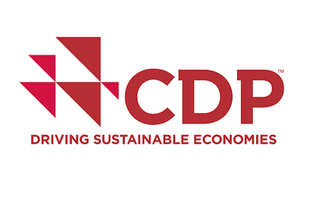 CDP logo